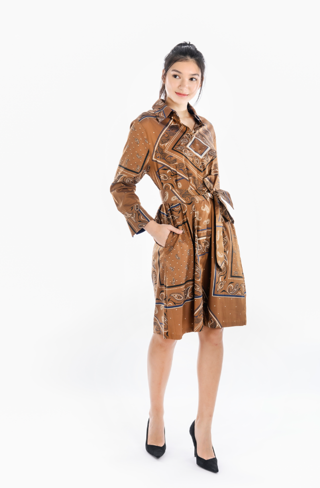 Printed Belted Shirt Dress